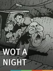 Wot a Night (1931)