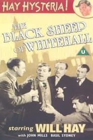 The Black Sheep of Whitehall series tv