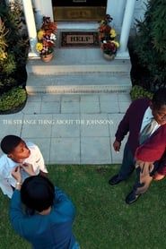 The Strange Thing About the Johnsons (2011)