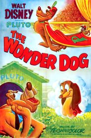 Image Wonder Dog 1950