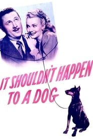 It Shouldn't Happen to a Dog (1946)