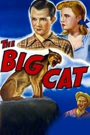 The Big Cat series tv
