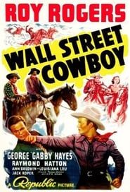 Wall Street Cowboy series tv