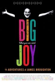 Big Joy: The Adventures of James Broughton series tv