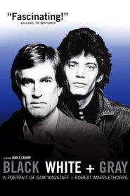 Black White + Gray: A Portrait of Sam Wagstaff and Robert Mapplethorpe 2007 streaming
