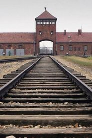 Image Verdict on Auschwitz