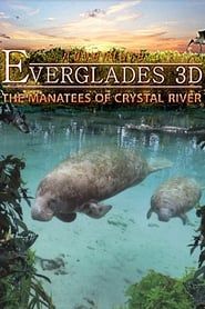 Adventure Everglades 3D - The Manatees of Crystal River series tv