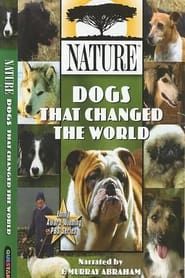 Image Dogs That Changed The World