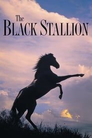The Black Stallion series tv