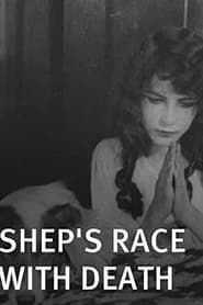 Shep's Race with Death (1914)