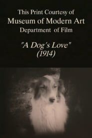 A Dog's Love (1914)