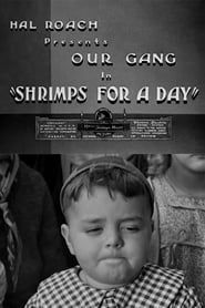 Shrimps for a Day series tv