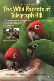 Affiche de The Wild Parrots of Telegraph Hill