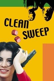 Image Clean Sweep 2001