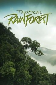 La forêt tropicale (1992)