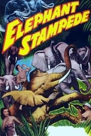 Image Elephant Stampede