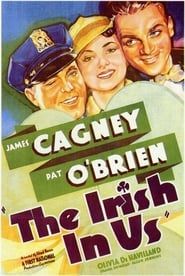 The Irish in Us series tv