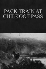 Pack Train at Chilkoot Pass-hd