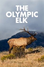 The Olympic Elk series tv