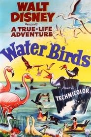 Water Birds series tv