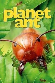Planet Ant: Life Inside The Colony-hd