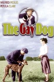 The Gay Dog series tv