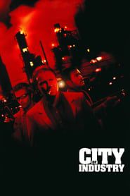 Affiche de City of crime