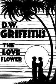 Affiche de The Love Flower