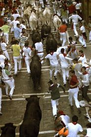 Encierro 3D: Bull Running in Pamplona series tv