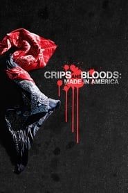 Crips and Bloods: Made in America 2008 streaming
