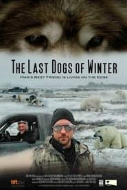 The Last Dogs of Winter series tv