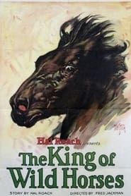 The King of the Wild Horses 1924 streaming