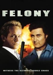 watch Felony