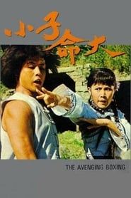 小子命大 (1979)