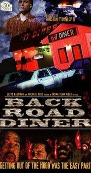 Back Road Diner series tv