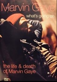 What's Going On: The Life and Death of Marvin Gaye series tv