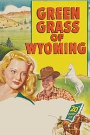 Image L'Herbe verte du Wyoming
