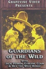 Guardians of the Wild (1928)