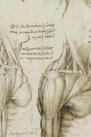 Image Leonardo's Diary
