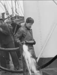 Cunard Vessel at Liverpool 1901 streaming