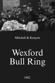 Wexford Bull Ring (1902)
