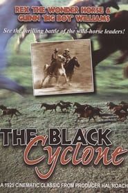 Black Cyclone series tv