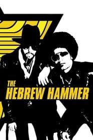 The Hebrew Hammer series tv