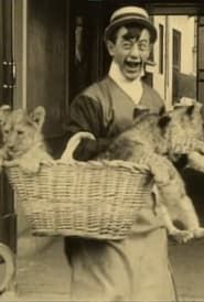 Polidor e i gatti (1913)