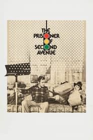The Prisoner of Second Avenue series tv