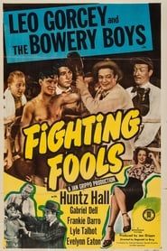 Fighting Fools series tv