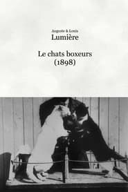 Les chats boxeurs 1898 streaming