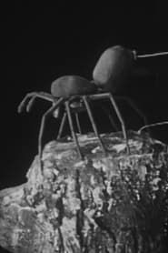 Urban Science: To Demonstrate How Spiders Fly 1909 streaming