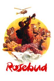 Affiche de Rosebud