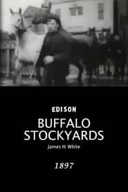 Buffalo Stockyards 1897 streaming